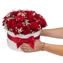 Box červených růží